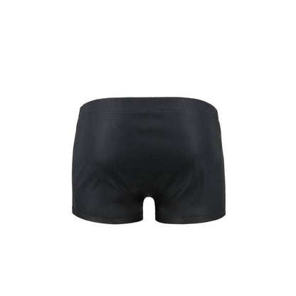 PASSION - 048 SHORTS DAVID SCHWARZ S/M