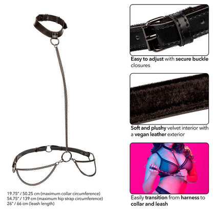 CALEXOTICS - EUPHORIA CHAIN HALTER COLLAR AND LEASH PLUS SIZE