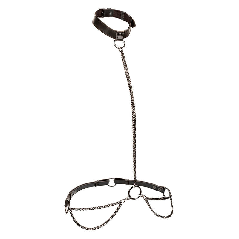 CALEXOTICS - EUPHORIA CHAIN HALTER COLLAR AND LEASH PLUS SIZE