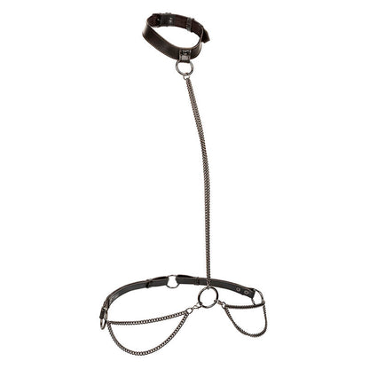 CALEXOTICS - EUPHORIA CHAIN HALTER COLLAR AND LEASH PLUS SIZE