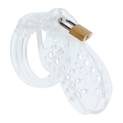 HIDDEN DESIRE - EXTREME CHASTITY HORSE CAGE ACRYLIC ADJUSTABLE CLEAR