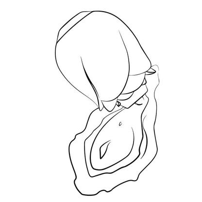 ROMP - ROSE GLOW CLITORAL SUCTION DEVICE THAT GLOWS IN THE DARK