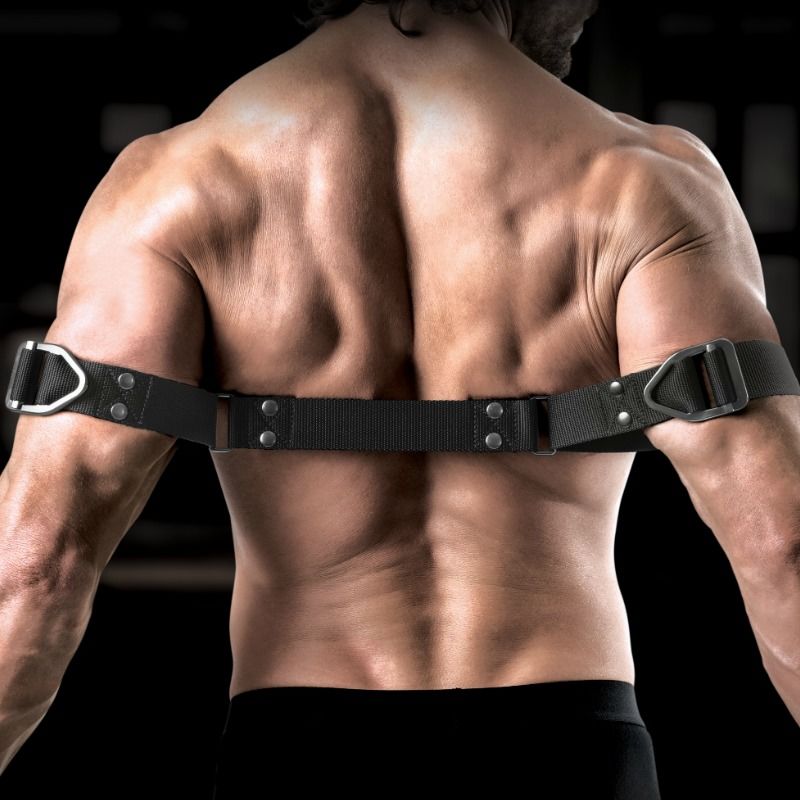 SIR RICHARDS - ORDER BICEPS BENDER