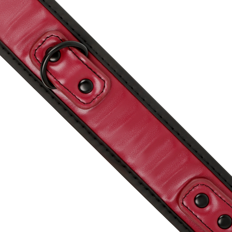 FETISH SUBMISSIVE DARK ROOM - CHAIN COLLAR WITH NEOPRENE LINING